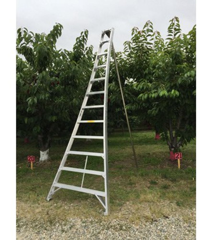 Ladder King, 12' Aluminum Orchard Ladder