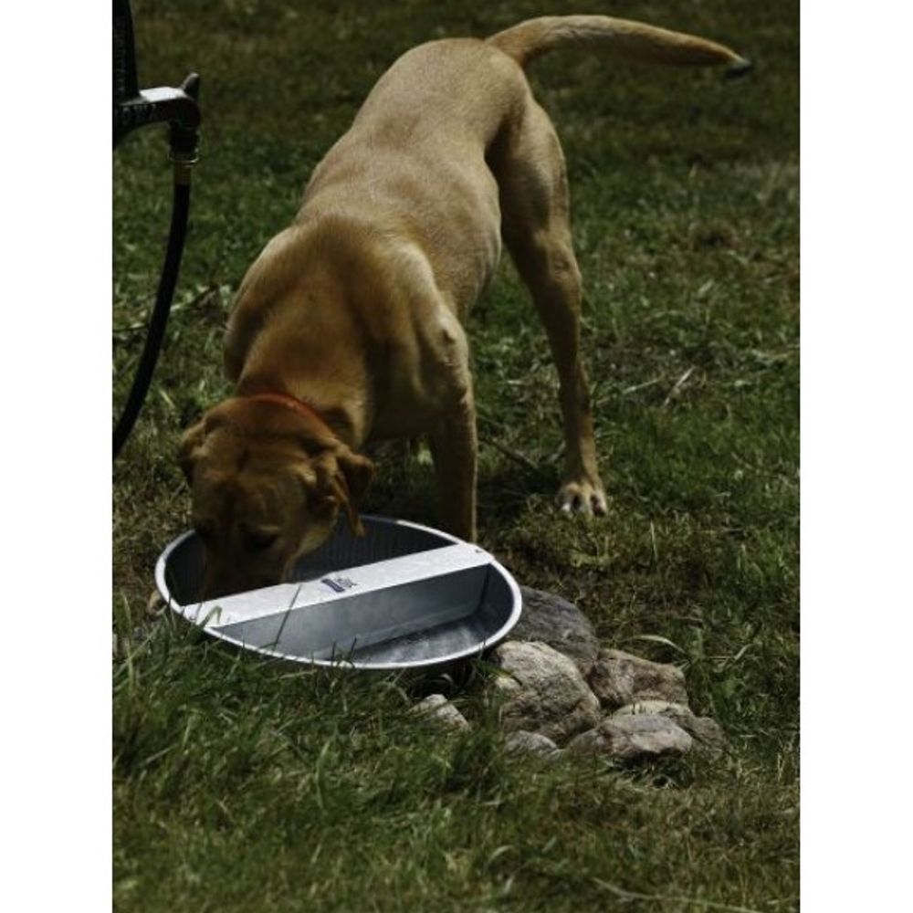 Pet Lodge, Galvanized Steel Ever Full Pet Bowl, 13 qt