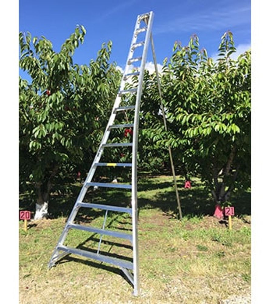 Ladder King, 14' Aluminum Orchard Ladder