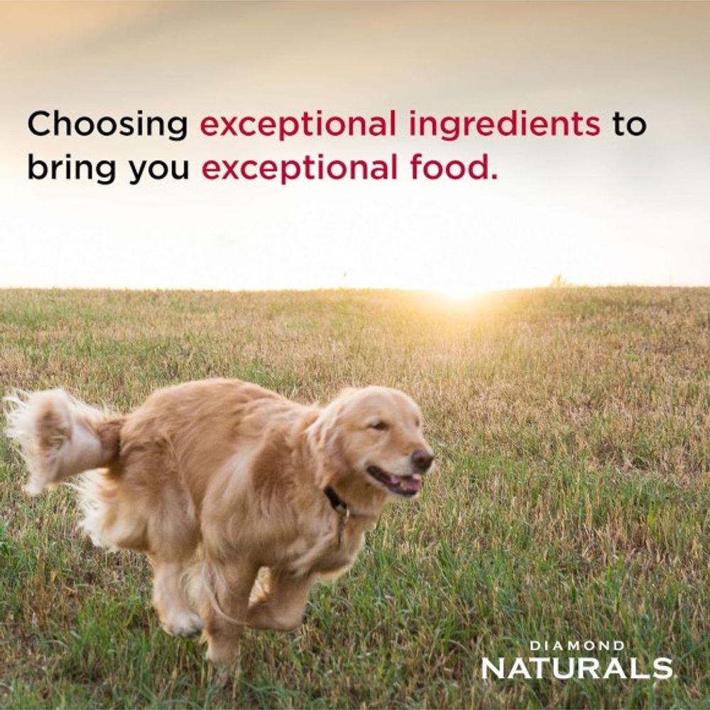 Diamond Naturals, All Life Stages Chicken & Rice Dog Food, 40 lb
