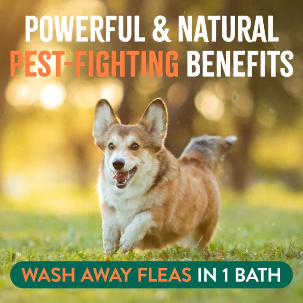 Tropiclean, Natural Flea & Tick Soothing Shampoo for Dogs, 20 oz