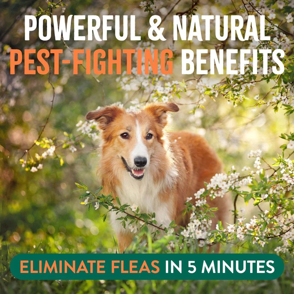 Tropiclean, Natural Flea & Tick Pet & Bedding Spray for Dogs, 16 oz