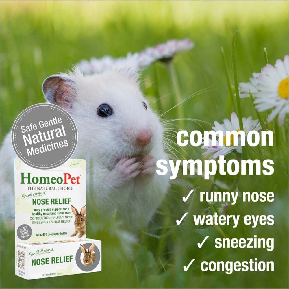 Homeopet, Small Animal Nose Relief, 15 ml