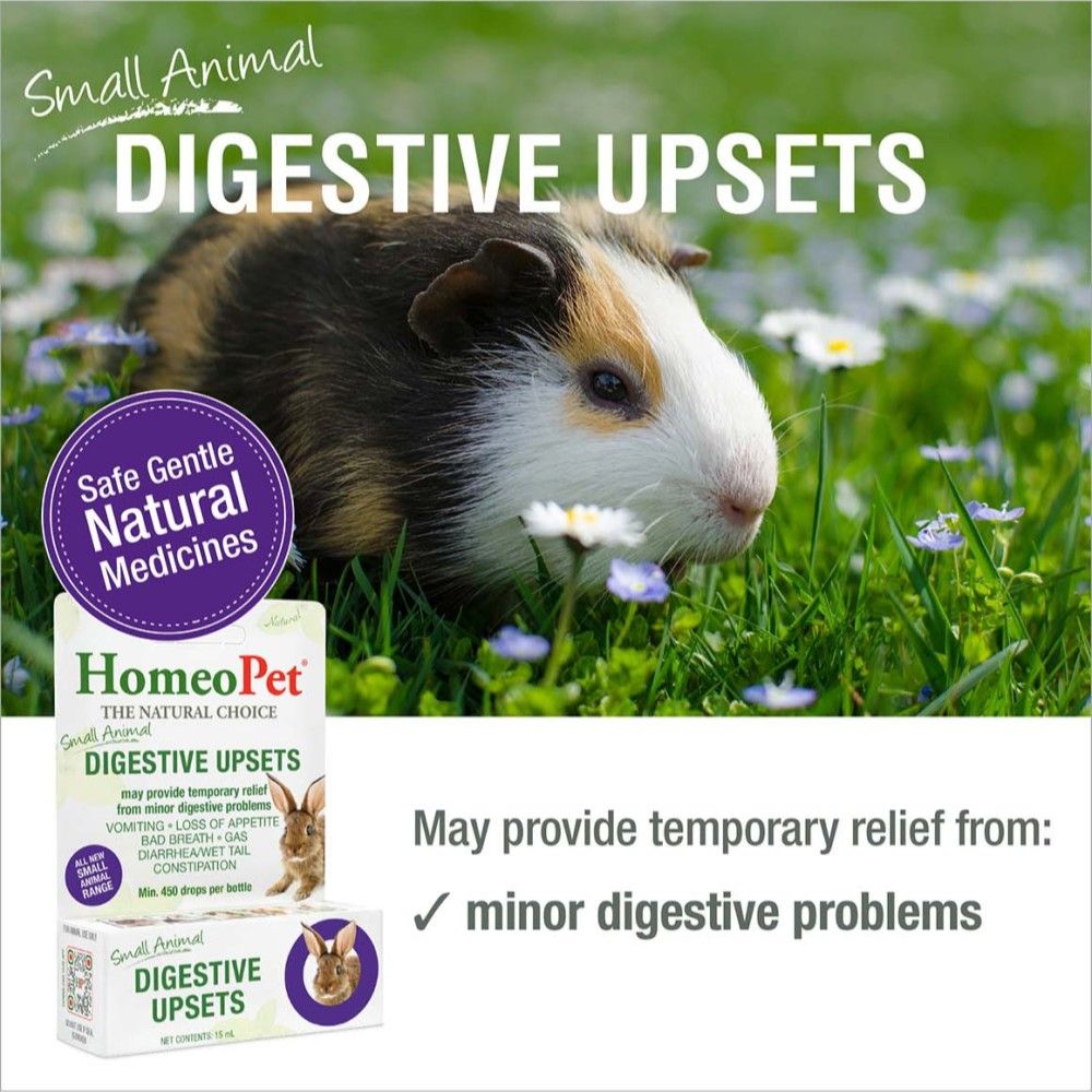 Homeopet, Small Animal Digestive Upsets, 15 ml