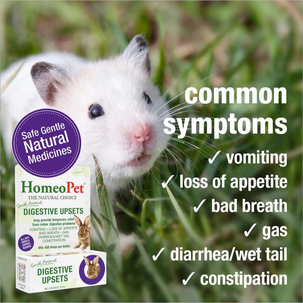 Homeopet, Small Animal Digestive Upsets, 15 ml