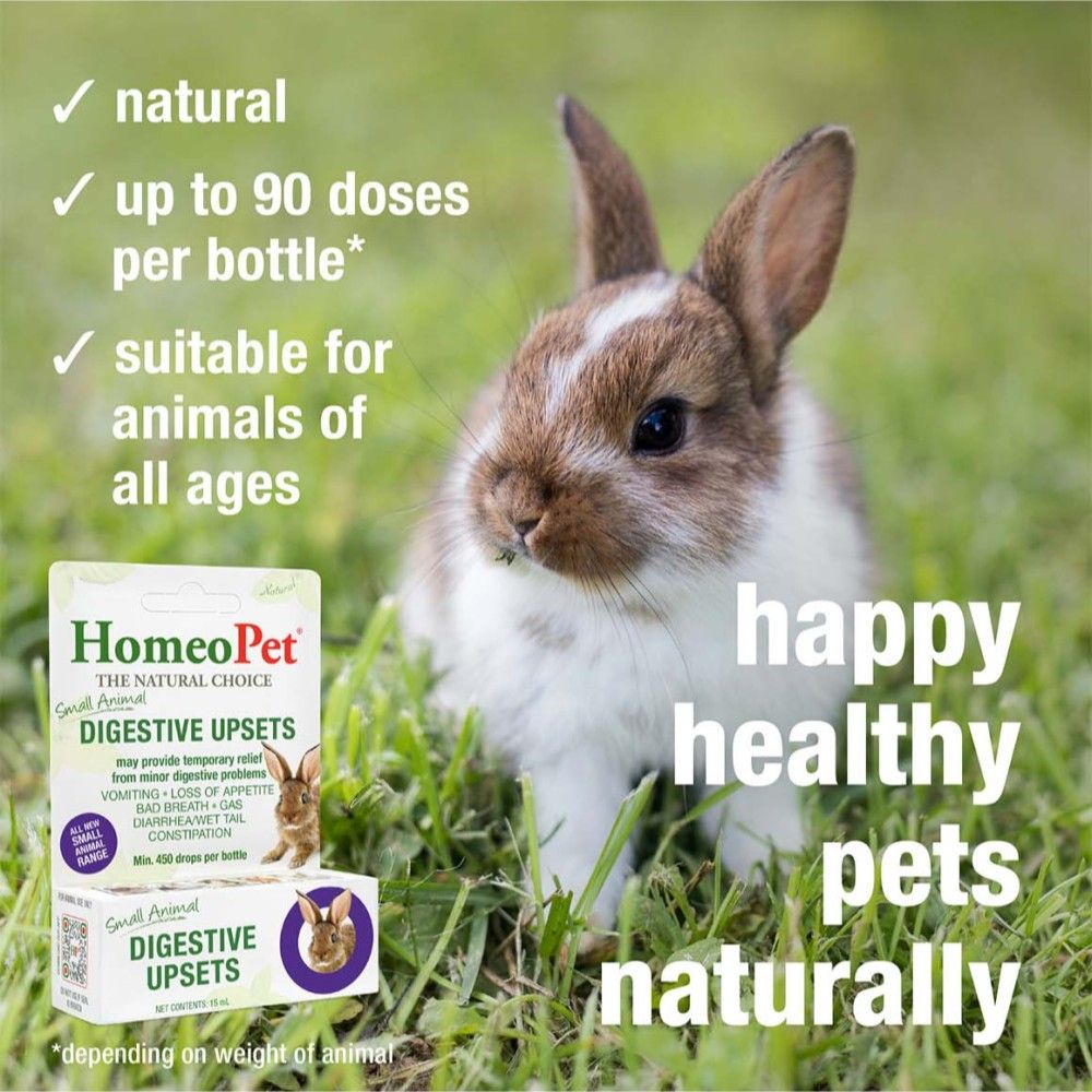 Homeopet, Small Animal Digestive Upsets, 15 ml