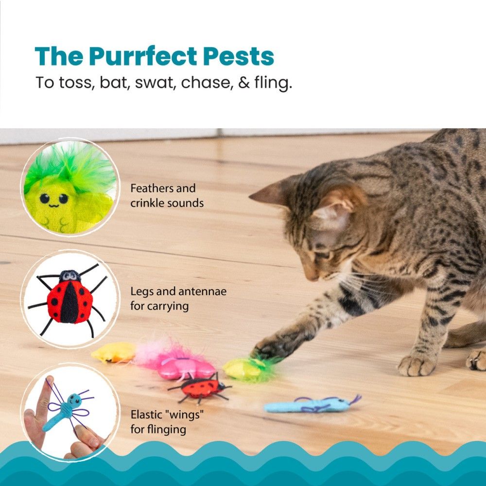 Outward Hound, Cute As A Bug Plush Cat Toys, 6 pk