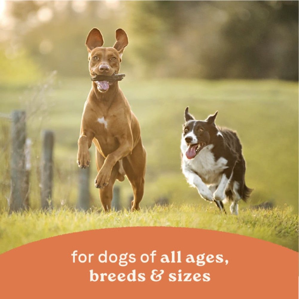 Canidae, All Life Stages Multi-Protein & Vegetable Chunky Stew Toppers, 12.7 oz