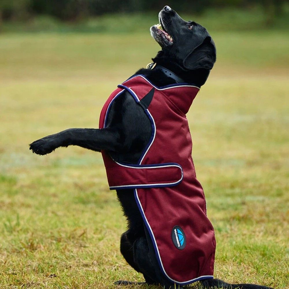 Weatherbeeta, Burgundy/Navy ComFiTec Premier Deluxe Waterproof Dog Coat