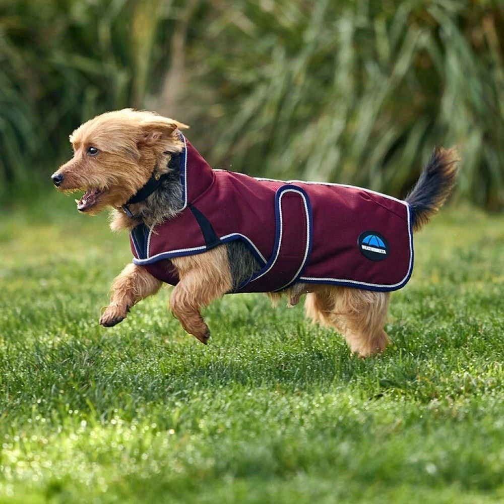 Weatherbeeta, Burgundy/Navy ComFiTec Premier Deluxe Waterproof Dog Coat