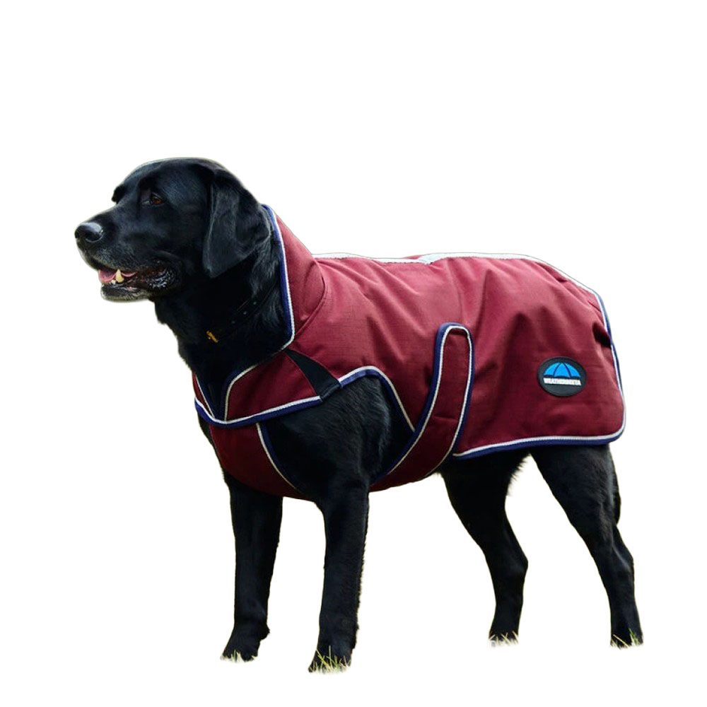 Weatherbeeta, Burgundy/Navy ComFiTec Premier Deluxe Waterproof Dog Coat