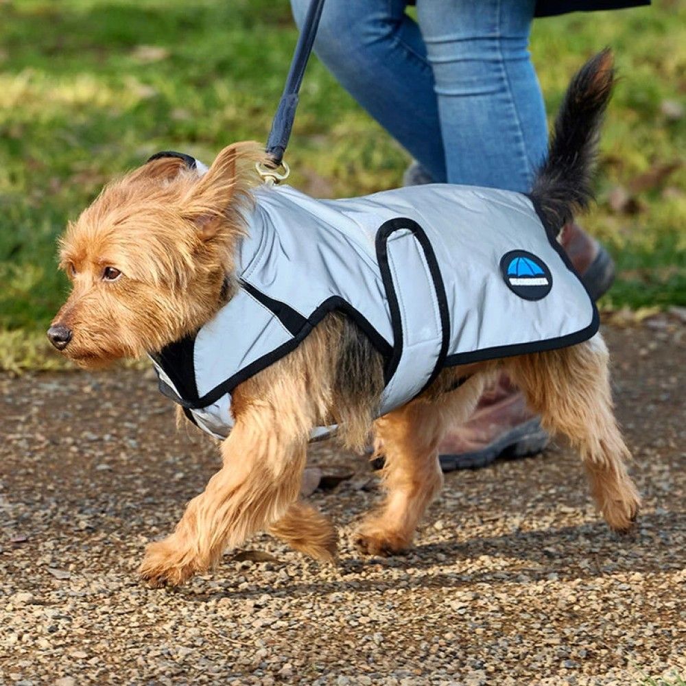 Weatherbeeta, Silver ComFiTec Reflective Showerproof Dog Coat