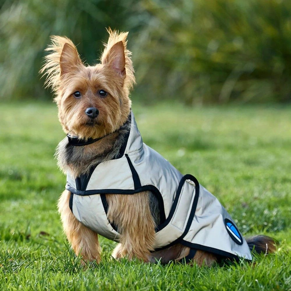 Weatherbeeta, Silver ComFiTec Reflective Showerproof Dog Coat