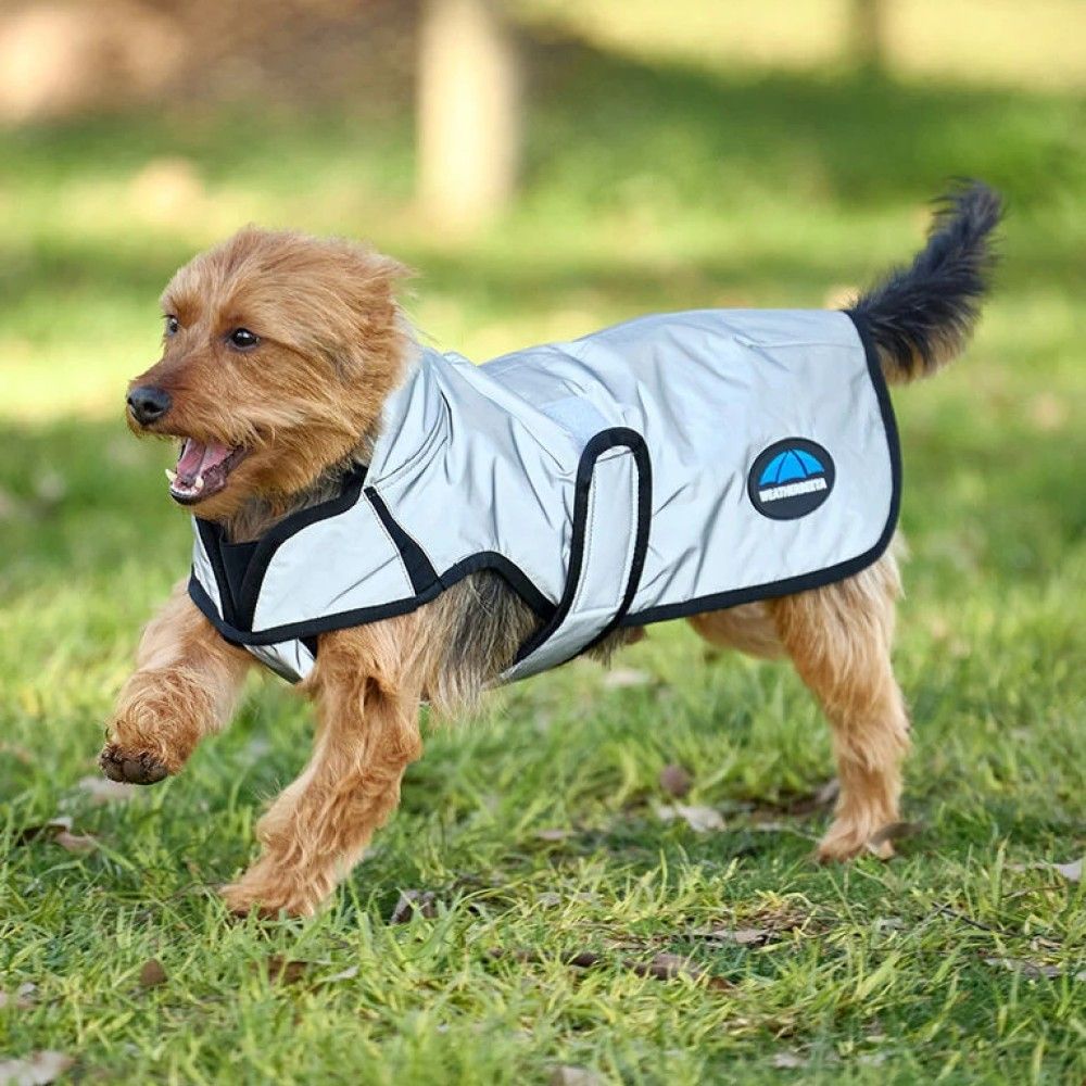 Weatherbeeta, Silver ComFiTec Reflective Showerproof Dog Coat
