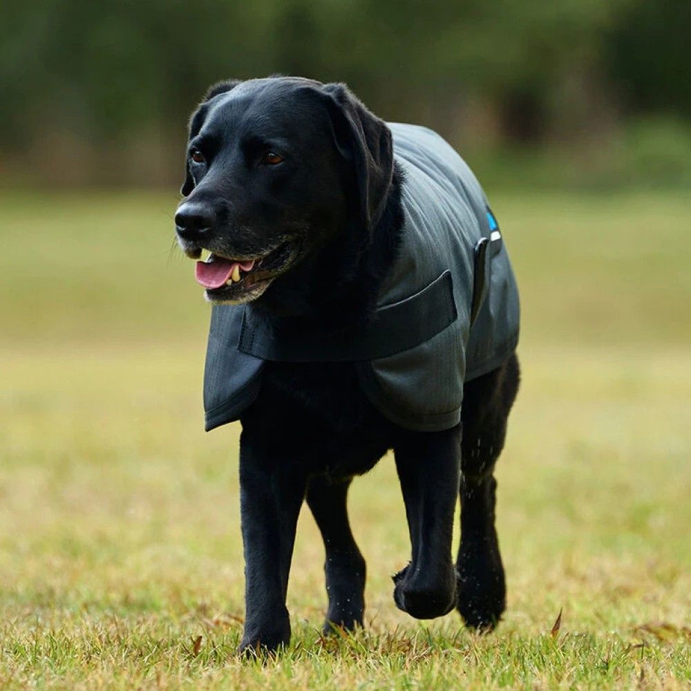 Weatherbeeta, Charcoal ComFiTec Classic Waterproof Dog Coat