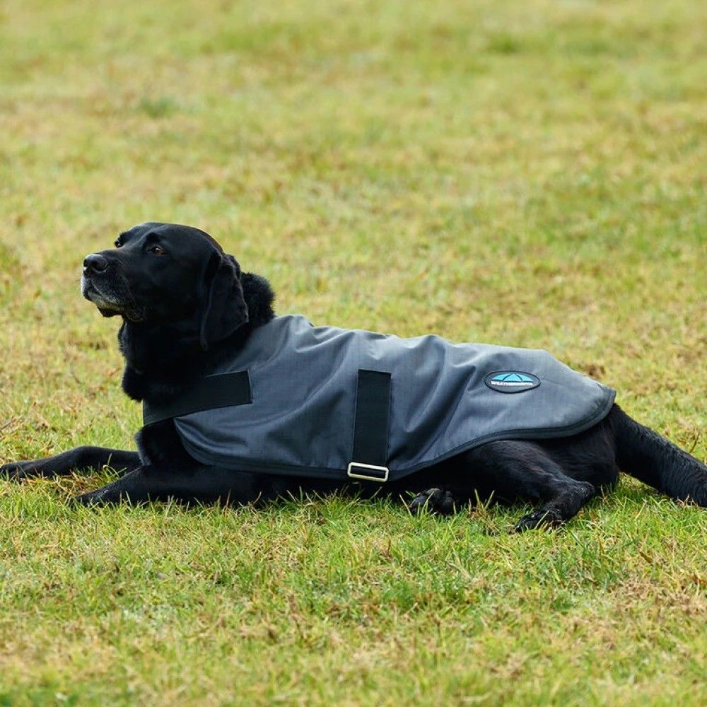 Weatherbeeta, Charcoal ComFiTec Classic Waterproof Dog Coat