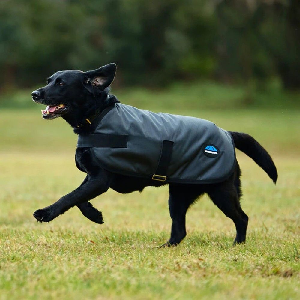 Weatherbeeta, Charcoal ComFiTec Classic Waterproof Dog Coat