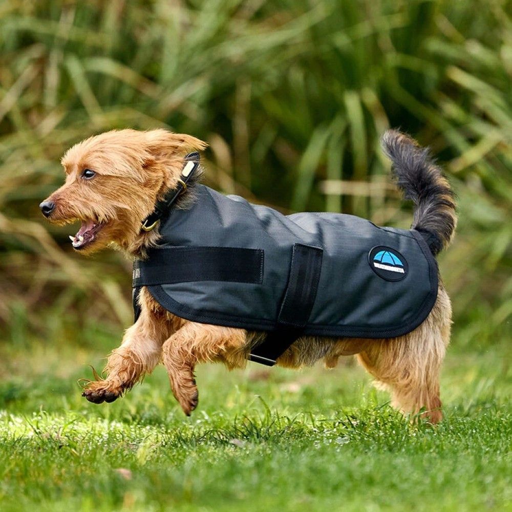 Weatherbeeta, Charcoal ComFiTec Classic Waterproof Dog Coat