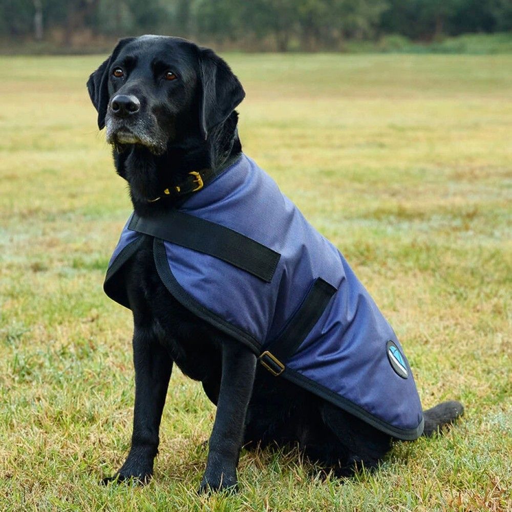 Weatherbeeta, Navy ComFiTec Classic Waterproof Dog Coat