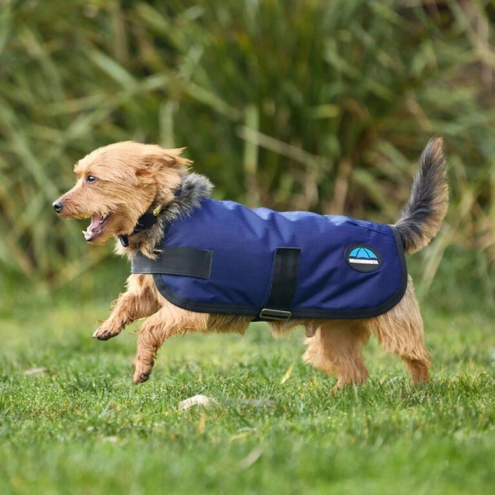 Weatherbeeta, Navy ComFiTec Classic Waterproof Dog Coat