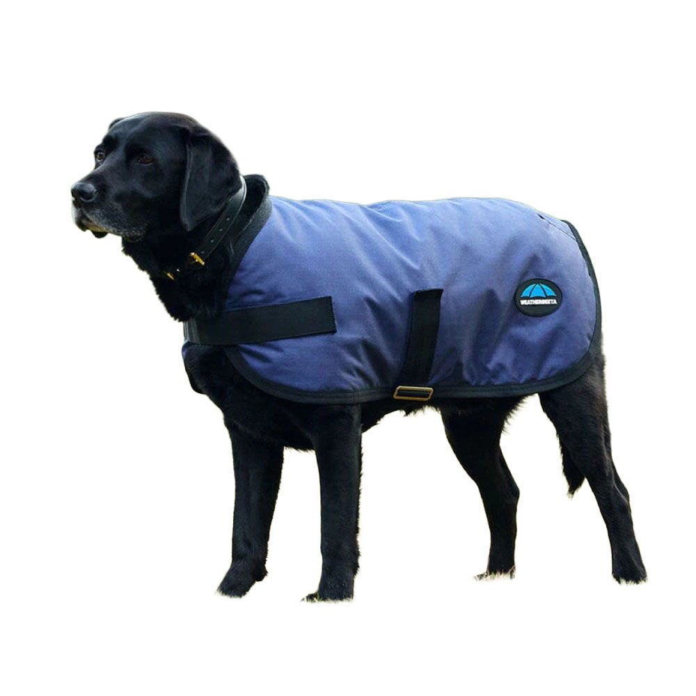 Weatherbeeta, Navy ComFiTec Classic Waterproof Dog Coat