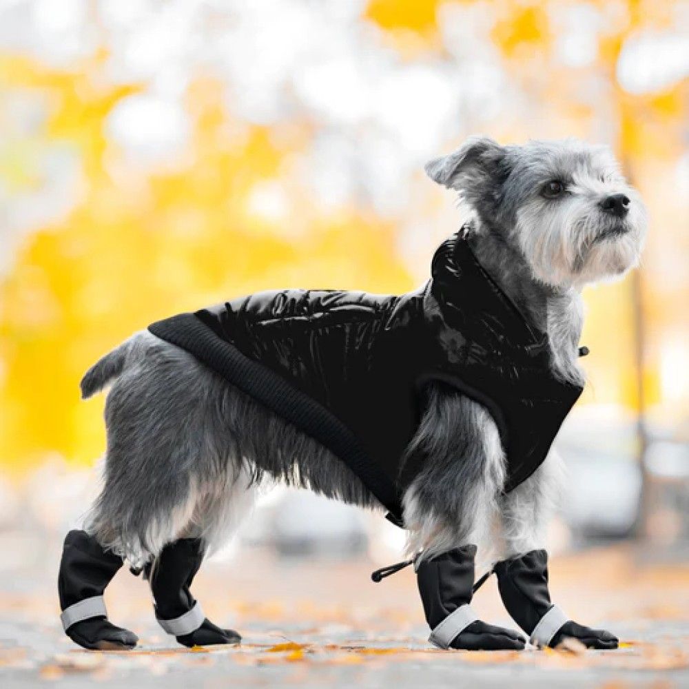 CANADA POOCH, Black Soft Shield Dog Boots