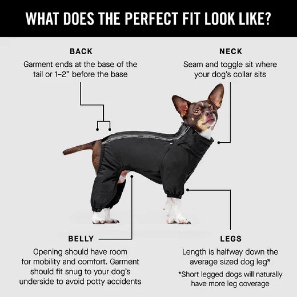 CANADA POOCH, Red Dog Snow Suit