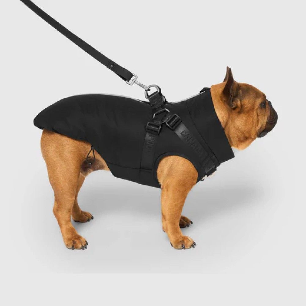 CANADA POOCH, Black Complete Control Harness Dog Winter Jacket
