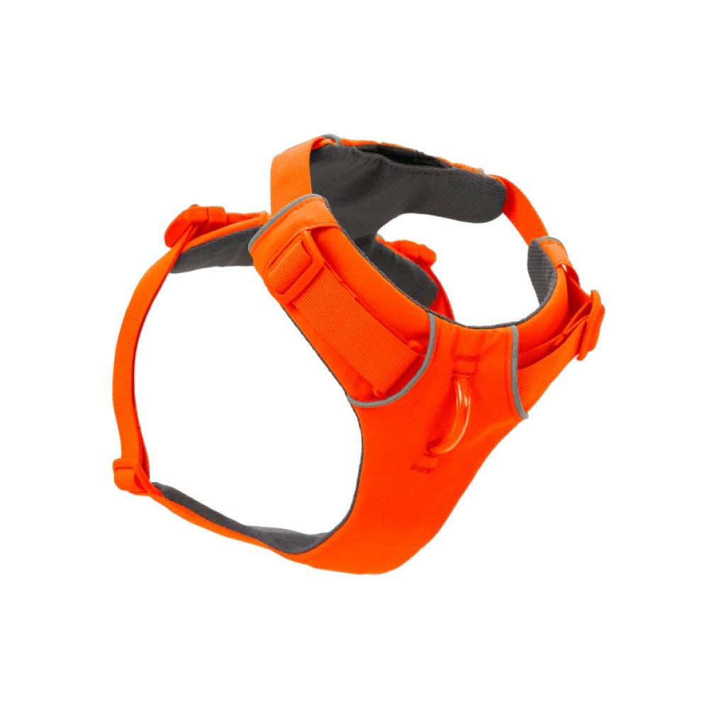 Ruffwear, Blaze Orange Front Range® Dog Harness