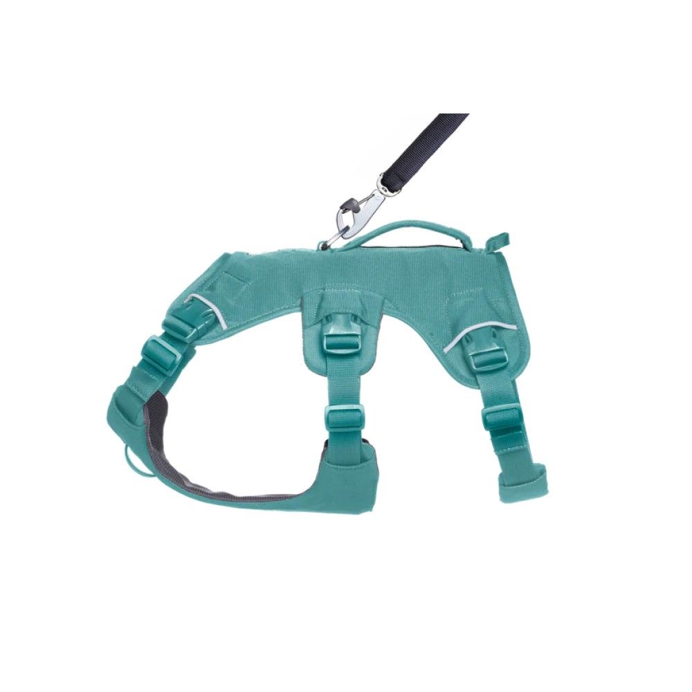 Ruffwear, River Rock Green Web Master™ Dog Harness with Handle