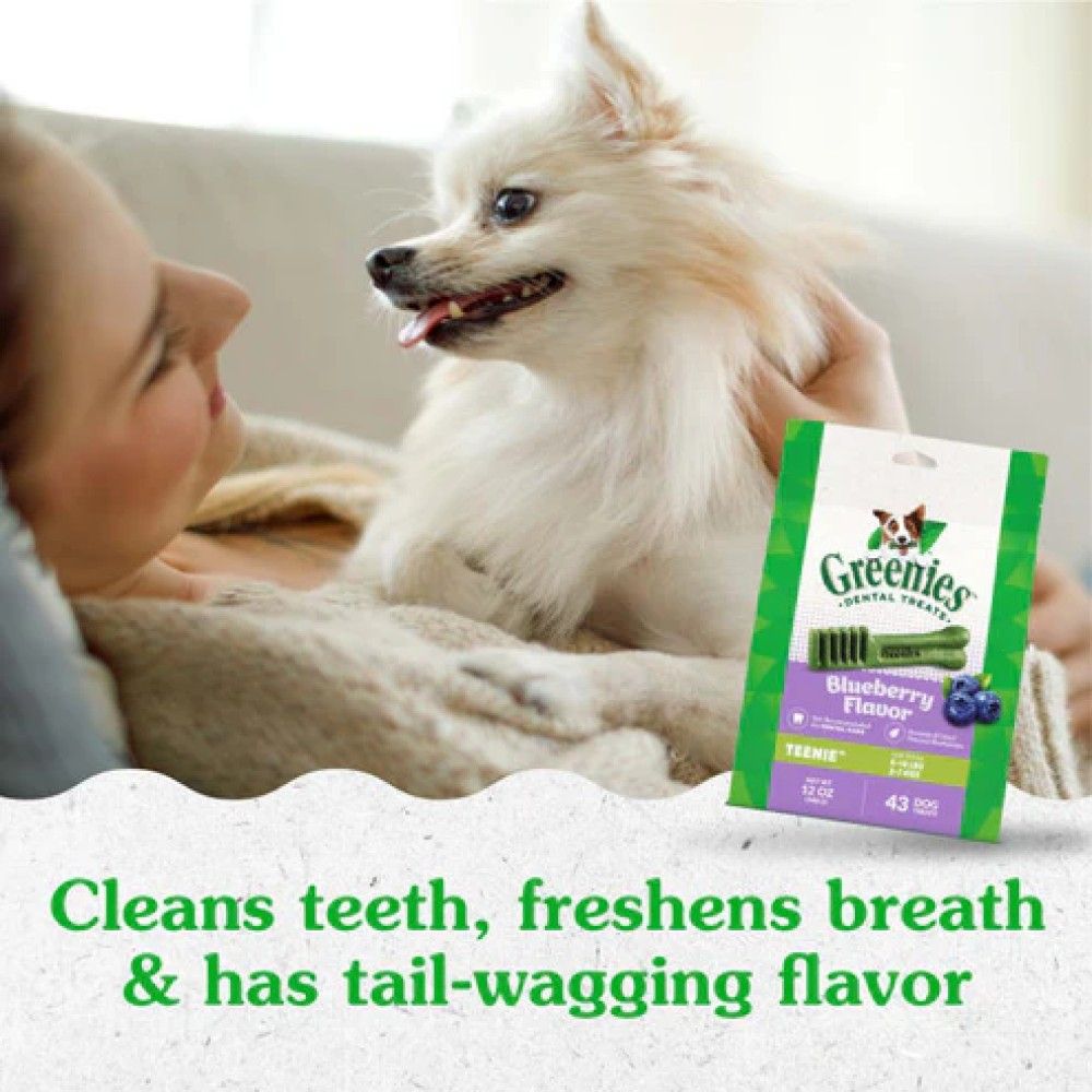 Greenies, Tennie Blueberry Flavor Dental Dog Treats, 12 oz 