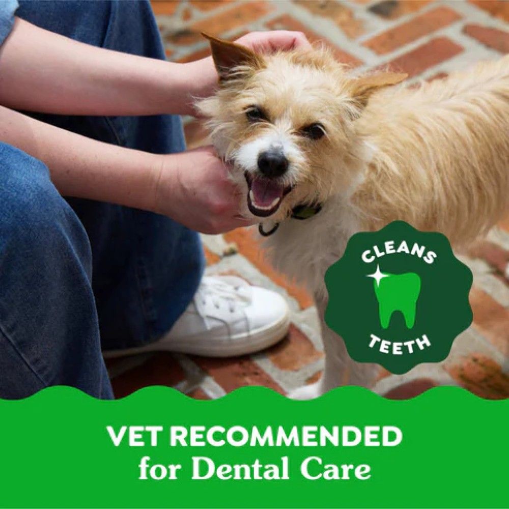 Greenies, Tennie Blueberry Flavor Dental Dog Treats, 12 oz 