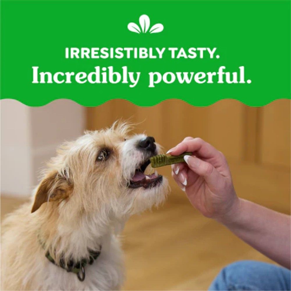 Greenies, Tennie Blueberry Flavor Dental Dog Treats, 12 oz 