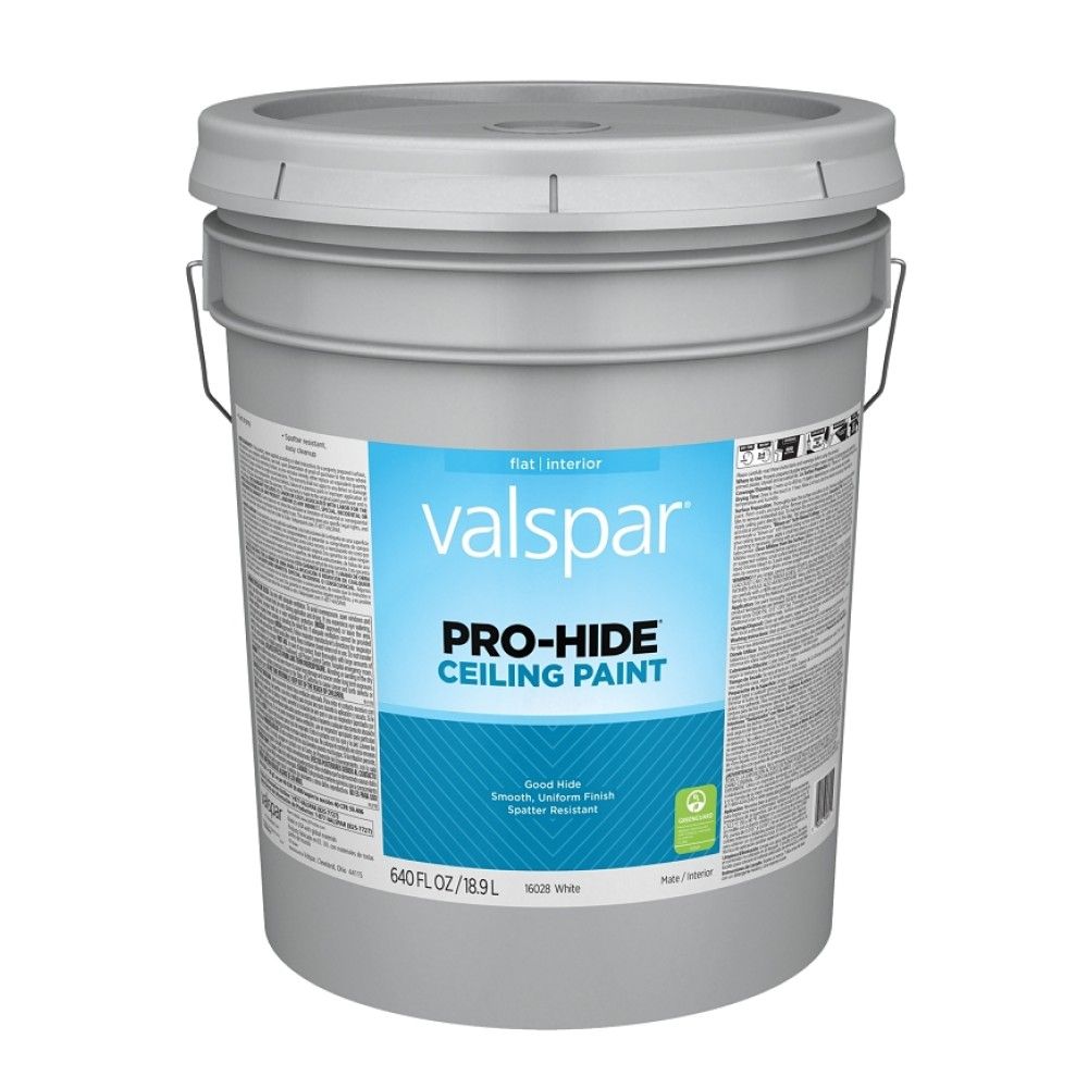 Valspar, Flat White Pro-Hide Ceiling Paint