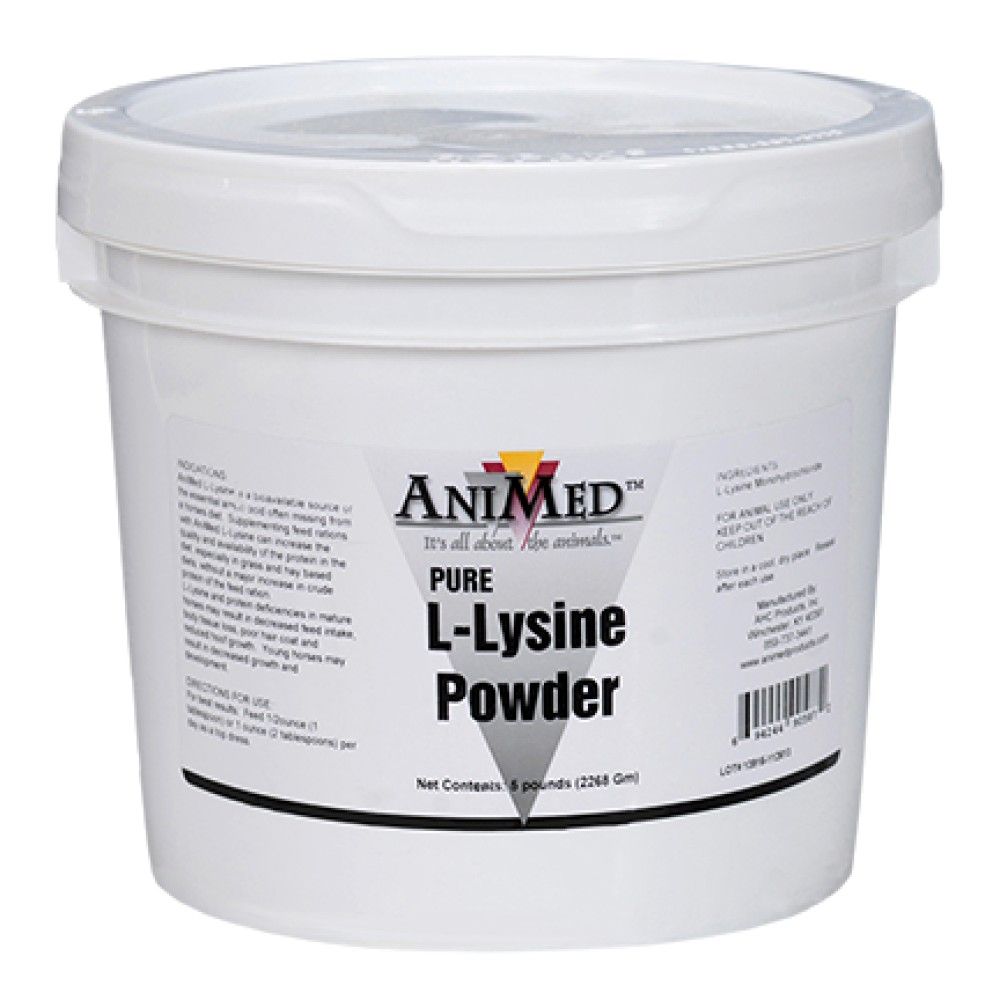 AniMed, Pure L-Lysine Powder, 5 lb