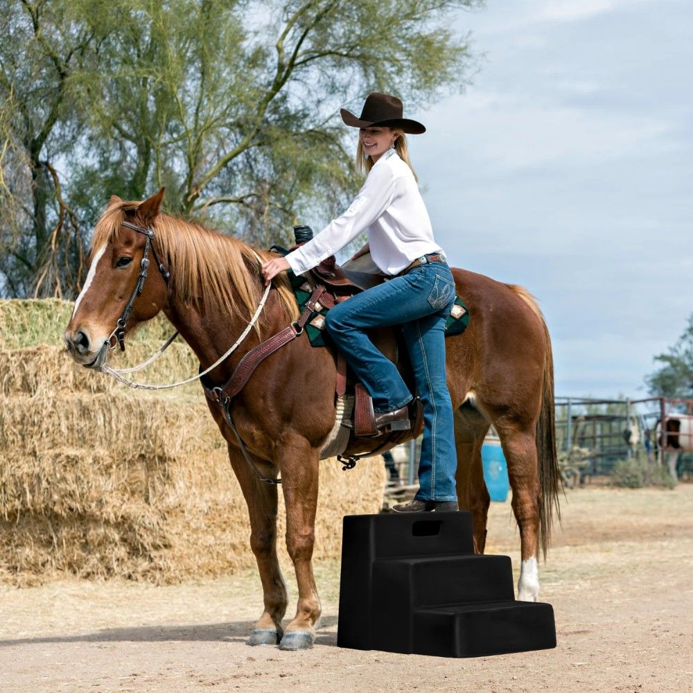 Horsemen's Pride, Blue 3 Step Mounting Block