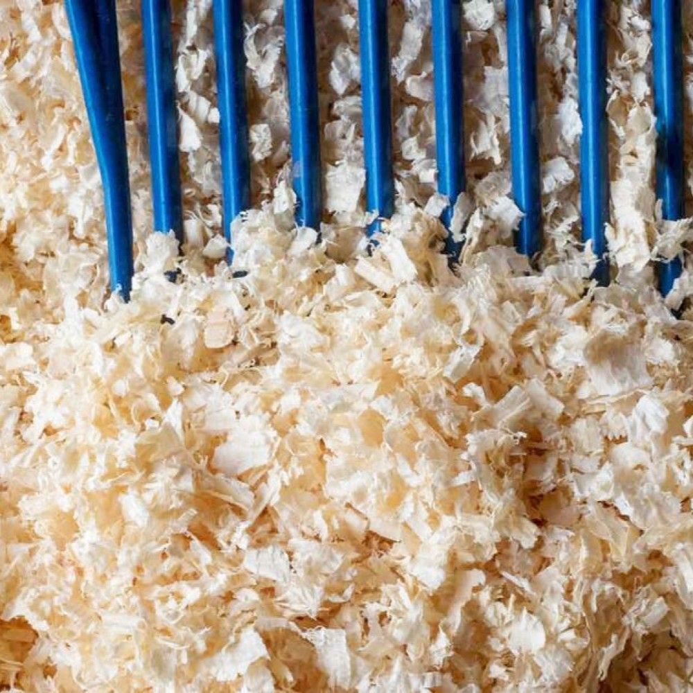 KSHOW, ShowFlake White Pine Shavings, 12 cu ft