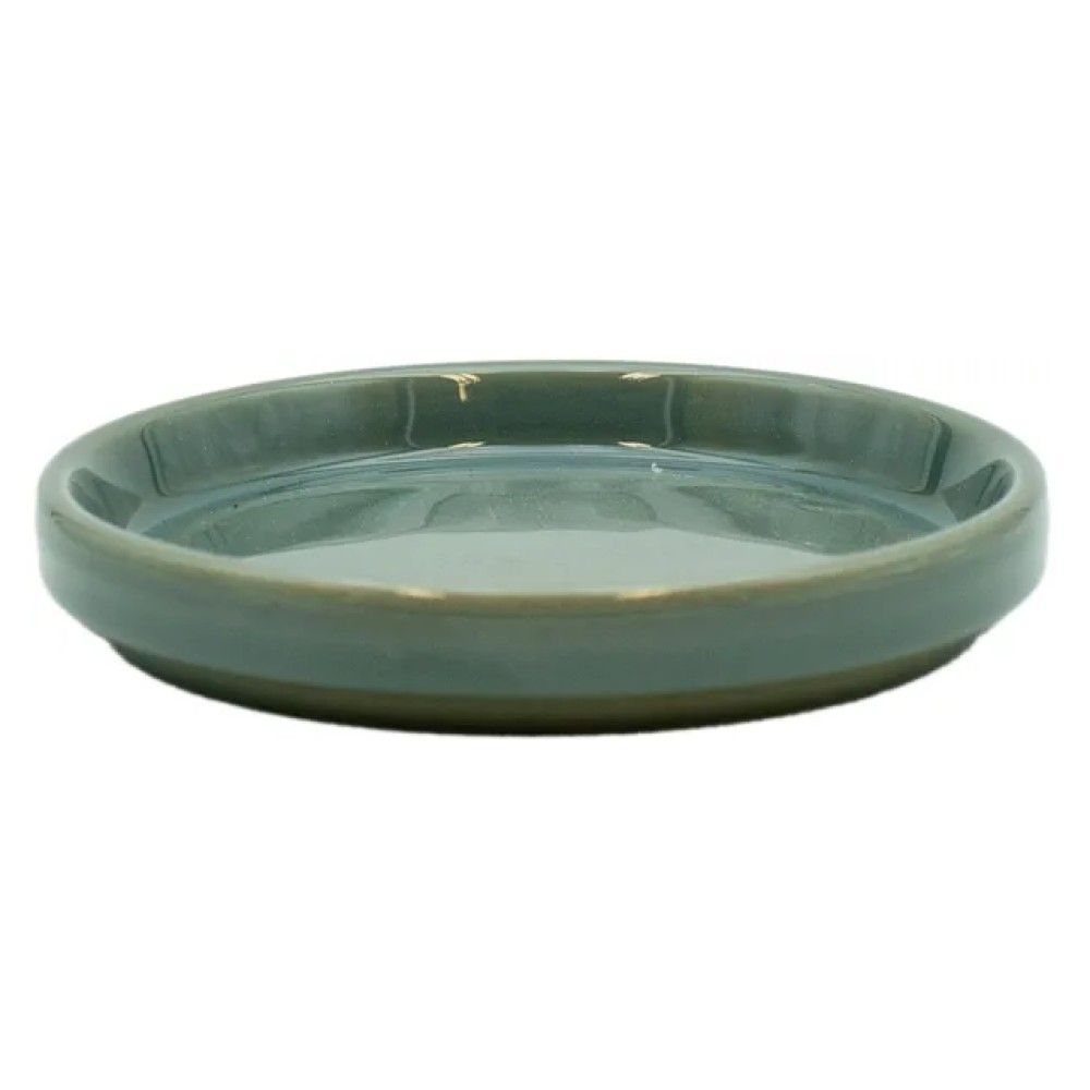Border Concepts, Gray Green Saucer
