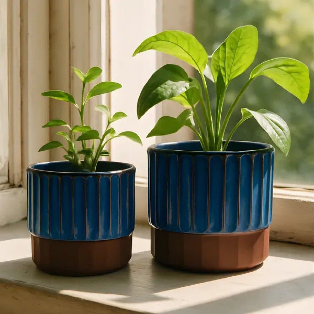 Border Concepts, Deep Sapphire & Umber Terracotta Lila Pedestal Pot