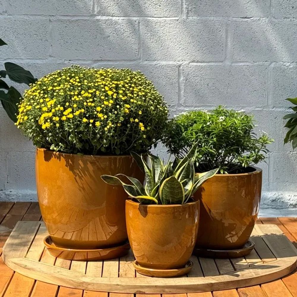 Border Concepts, Tawny Brown Calliope Pot 