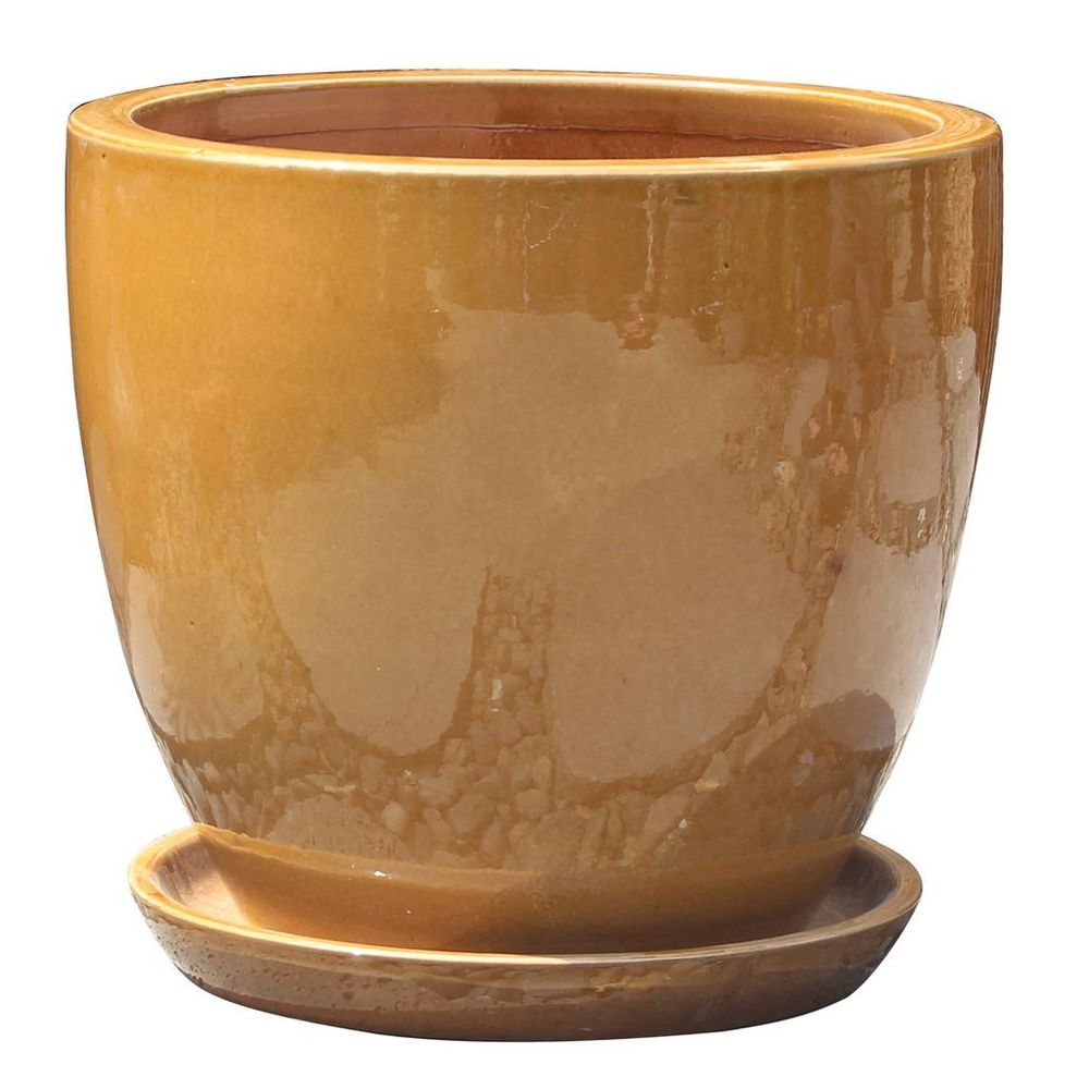 Border Concepts, Tawny Brown Calliope Pot