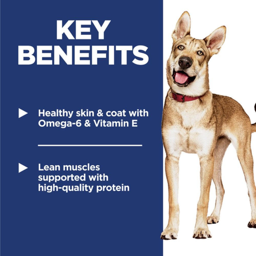 Science Diet, Adult Chicken & Barley Recipe Dog Food