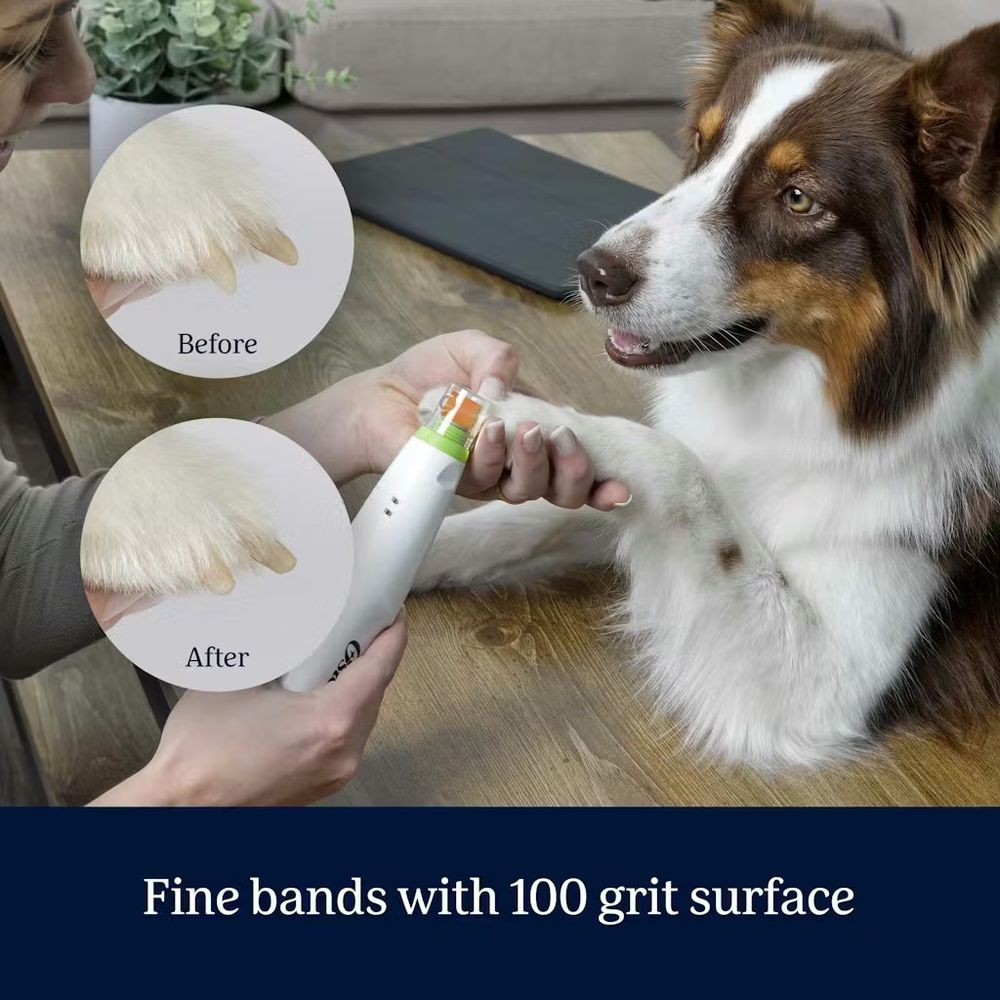 Oster, Oster Pro Gentle Paws Pet Nail Grinder Replacement Kit 