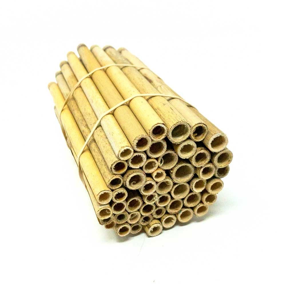 CrownBees, Spring Natural Reeds for Mason Bees
