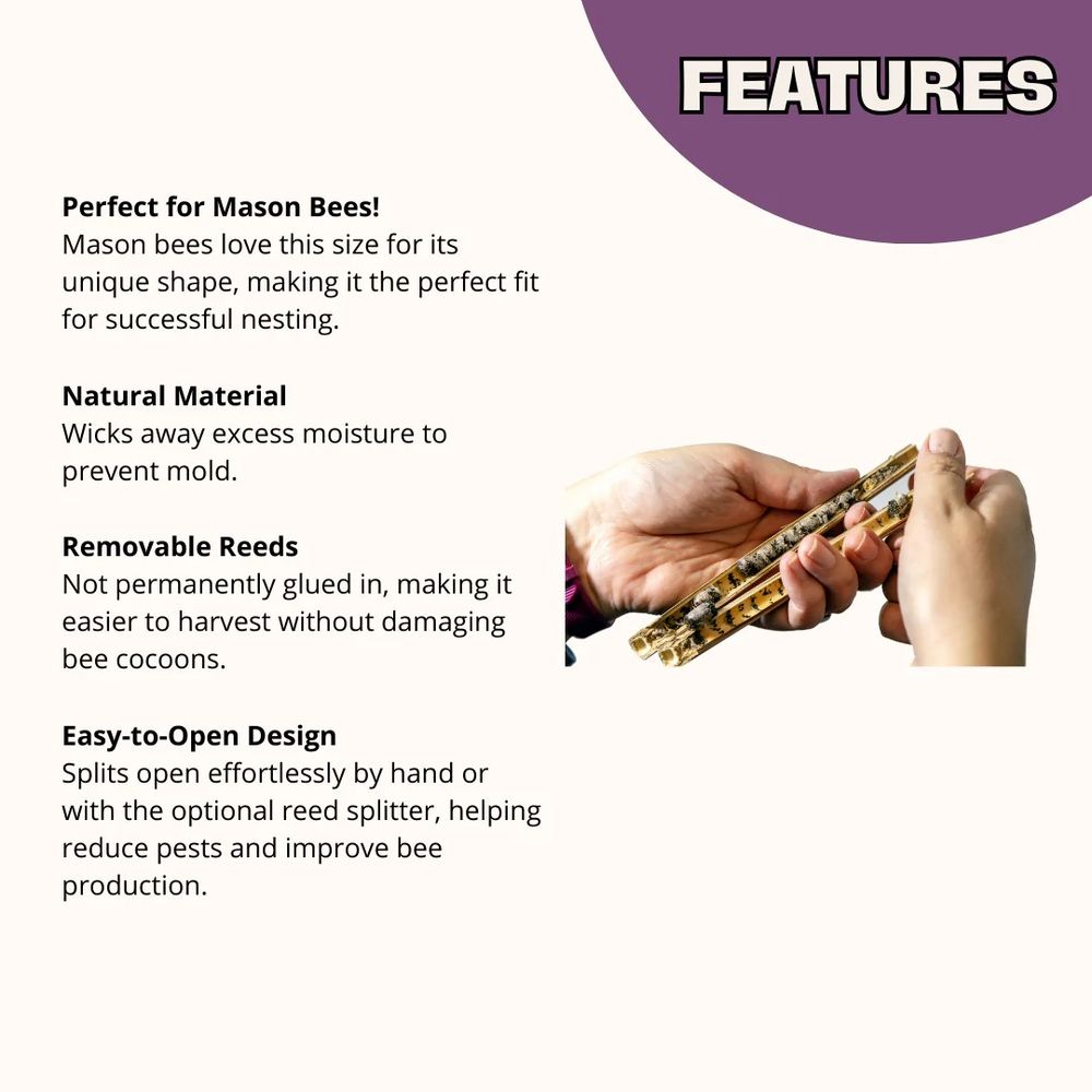 CrownBees, Spring Natural Reeds for Mason Bees
