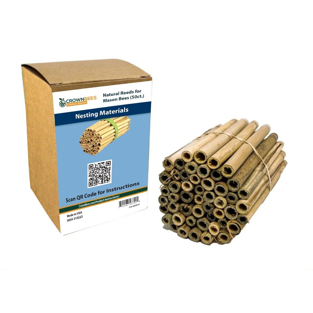 CrownBees, Spring Natural Reeds for Mason Bees