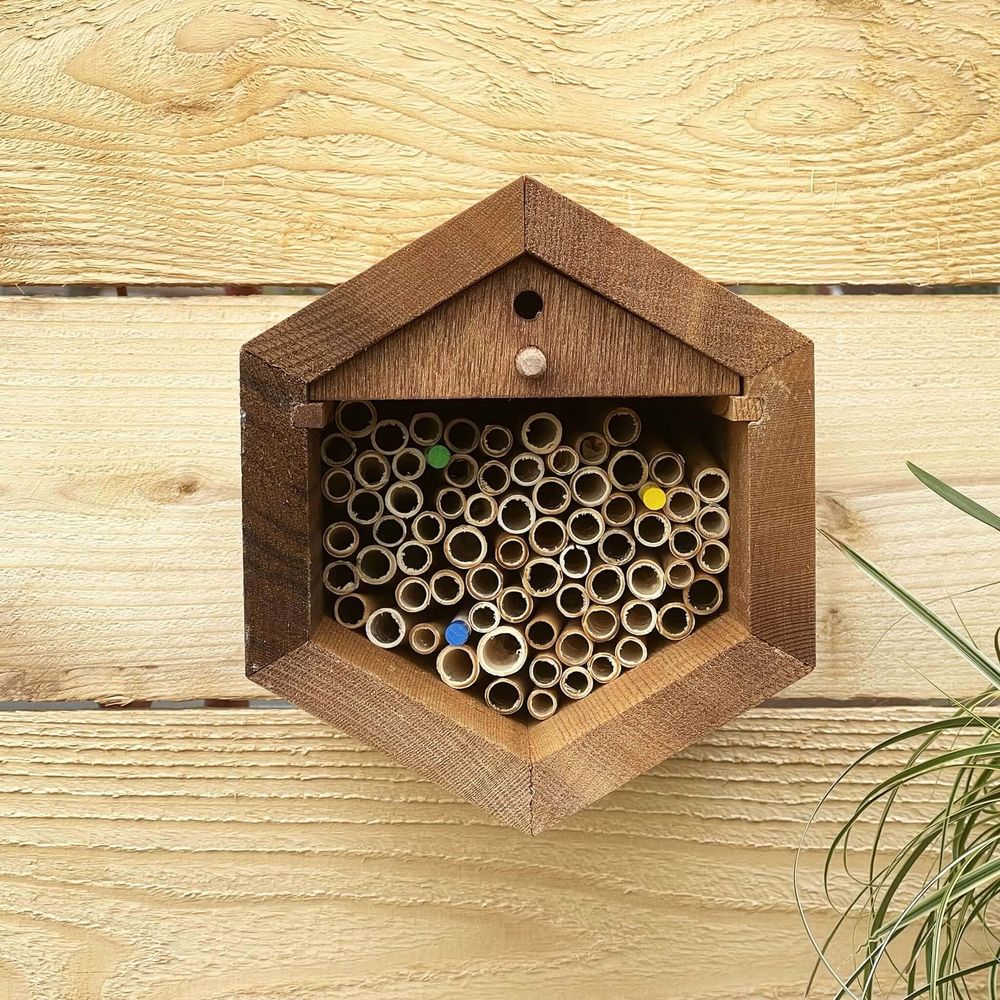 CrownBees, Cabana Bee House