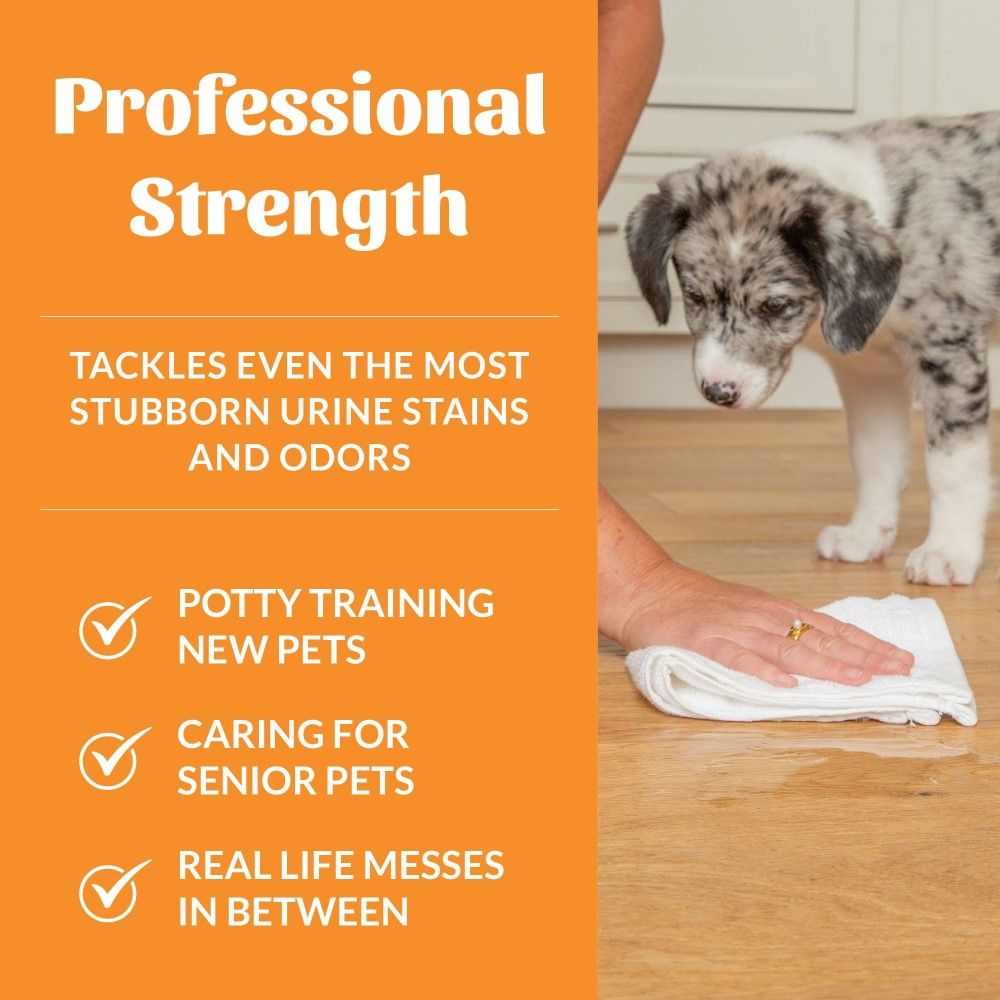 Skout's Honor, Urine Destroyer, 32 oz