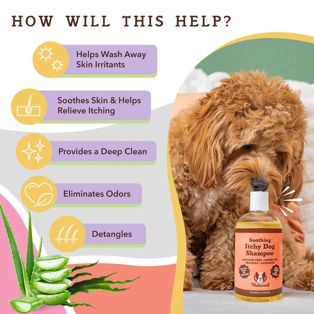 Natural Dog Company, Soothing Itchy Dog Shampoo, 12 oz 