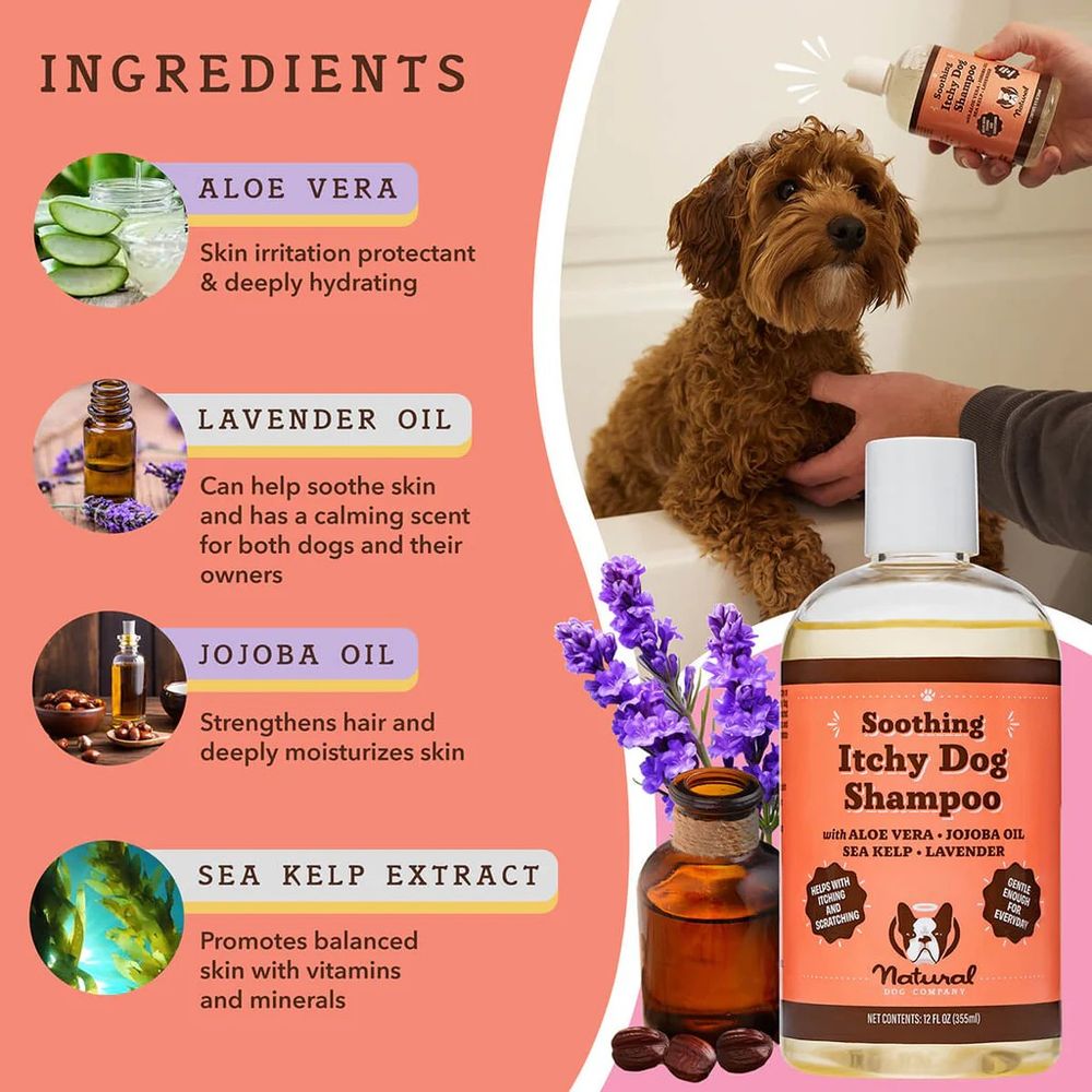 Natural Dog Company, Soothing Itchy Dog Shampoo, 12 oz 